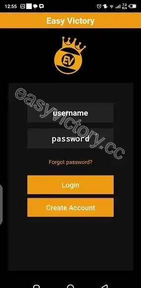 Screenshot of Easy Victory Gaming Assistant